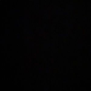 Meet your Posher, Brynnan